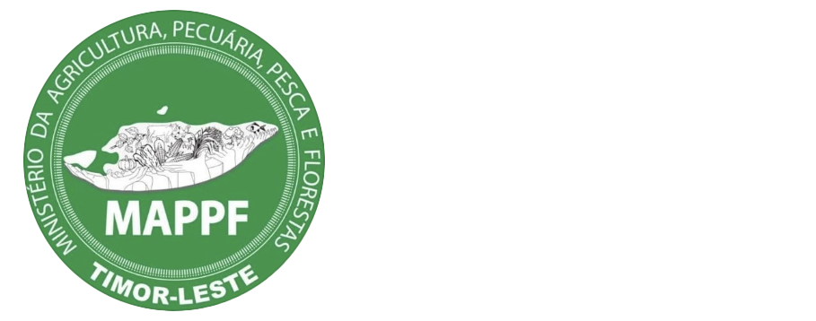 SEF Logo